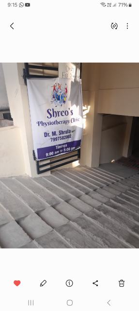 Shreo Physiotherapy And Sports Clinic logo